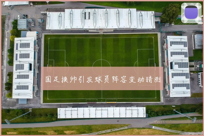 国足换帅引发球员阵容变动猜测