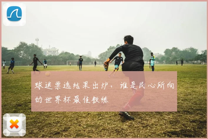 球迷票选结果出炉,谁是民心所向的世界杯最佳教练